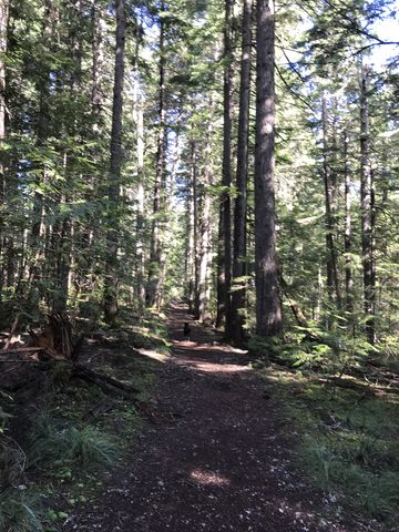 Trail near trailhead