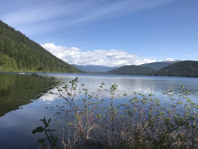 Upper Priest Lake from Plowboy Campground