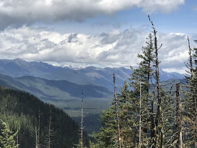 At higher elevations trail 295 offers views into the Selkirk Crest