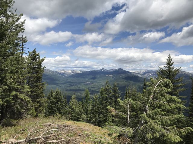 The southern Selkirk Crest. Prominent are Chimney Rock and Mount Roothaan