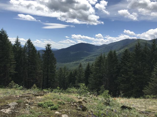 Views of the interior (Blacktail Mountain)