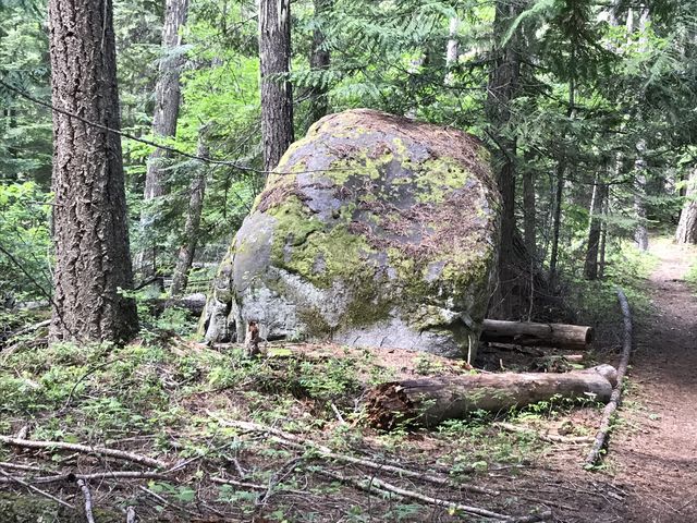 A boulder along the Woodrat trail