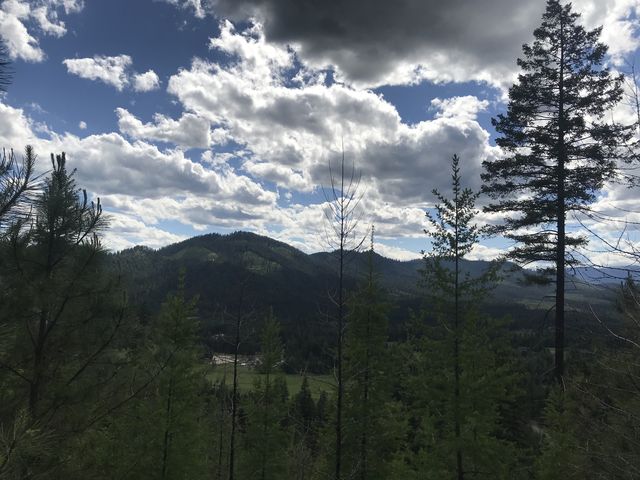 There are decent views of the interior from the Woodrat trail (golf course in the foreground)