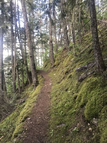 The Beach Trail is a singletrack the whole way