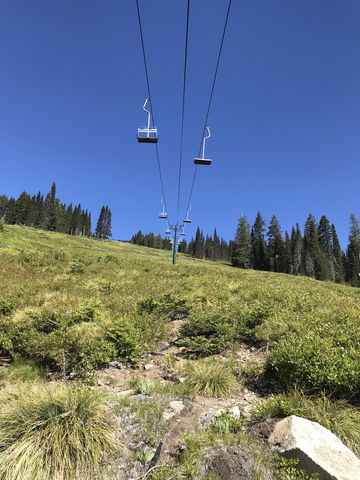 Youll move beneath most chairlifts