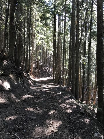 Along this eastern section, trail 130 follows an old fire road