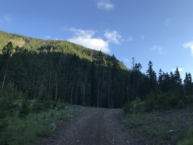 Trail near trailhead. It starts on an old logging road