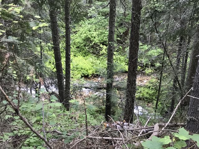 The Little North Fork of the South Fork of the Coeur dAlene River. Thats the brooks official title.