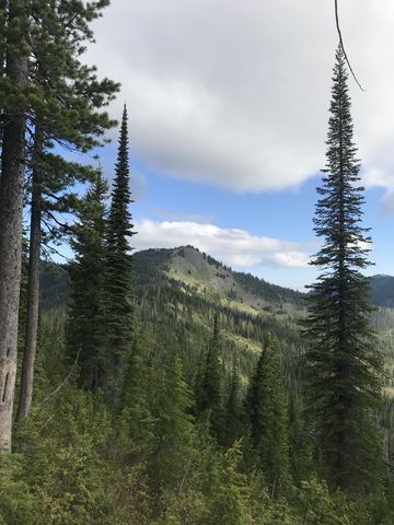 Unnamed peak southeast of stateline (6399)