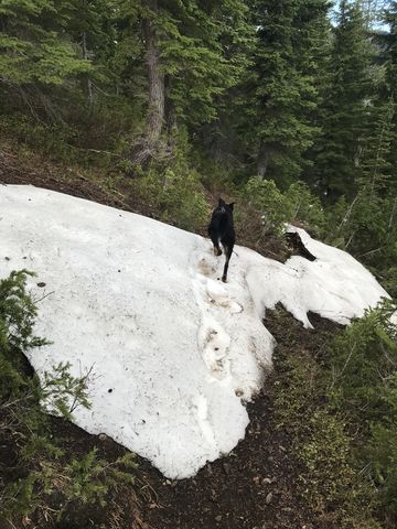 There were a few remaining patches of snow