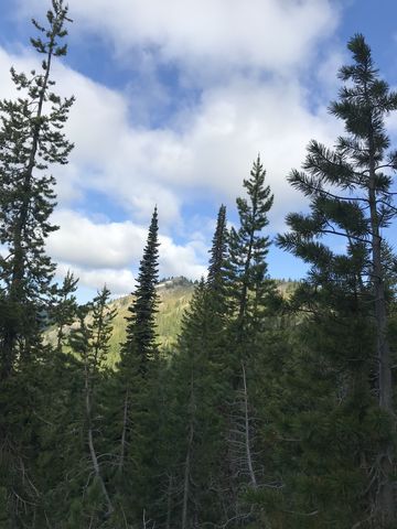 View of an unnamed peak whose eastern side is the headwall to Upper Glidden Lake