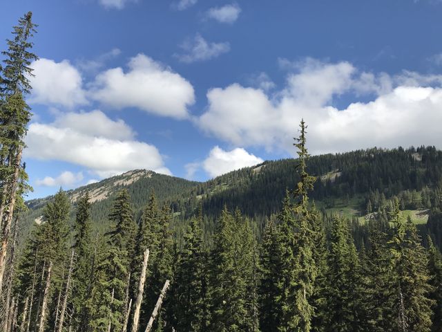 View west from the forest road near Lower Glidden Lake