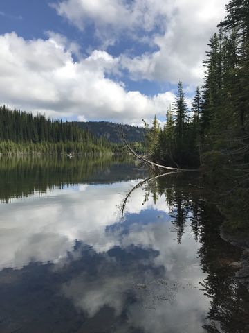 Lower Glidden Lake, looking north