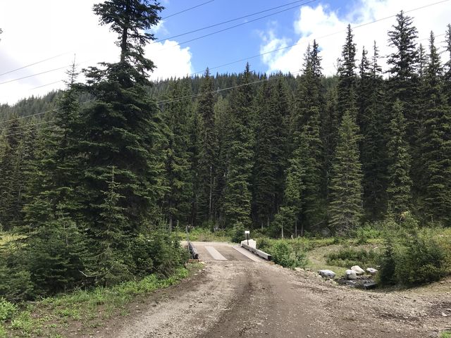 Forest road at the power lines