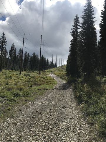 The power line trail