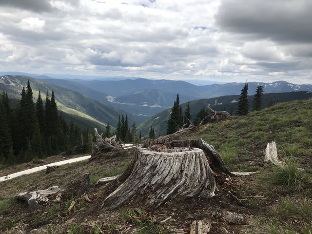 View south from Burke Summit. Note Lookout Pass