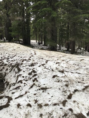 A four-foot snowpack remains in the shady areas, feeding torrid Marble Creek