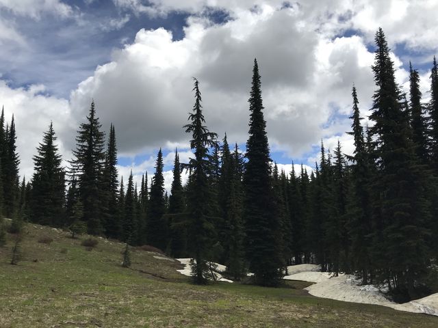 The hike along Grandmother Mountain is sprinkled with alpine meadows