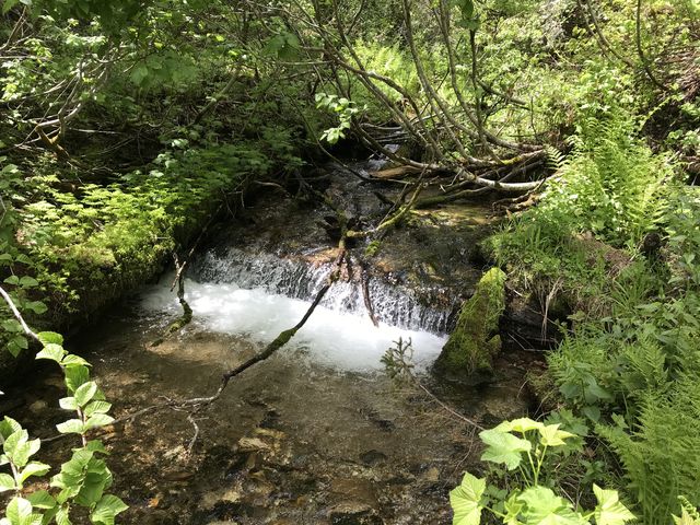 A tributary just before meeting Marble Creek