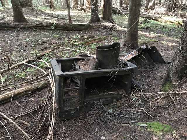 Reminders of an old logging camp. There was also a bunch of metal bowls, still neatly stacked and silently rusting away