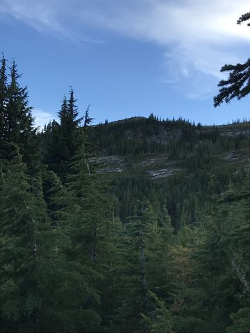 Grandmother Mountain