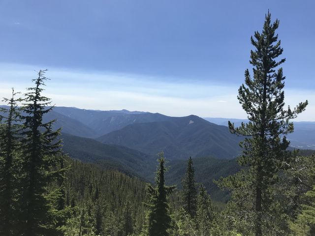 View east from Canyon Ridge