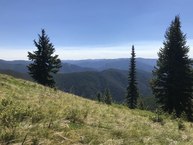 View east from approach to Canyon Peak