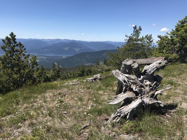 View west into the Clark Fork river valley from the Cabinet Divide ridge