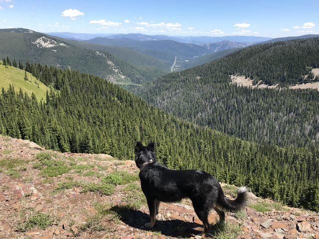 Naughty looking down into the Silver Butte drainage