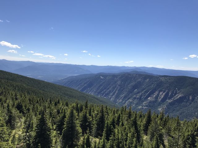 Swamp Creek drainage