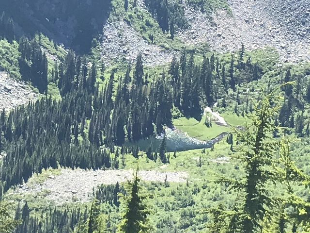 Buck Lake, sitting below Wanless Lake and looking like a sad little puddle by comparison