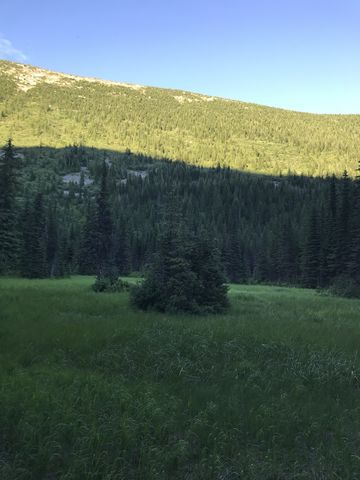 There are frequent, broad meadows along Swamp Creek