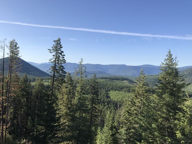 Views of the Coeur dAlene Mountains start to open up quickly