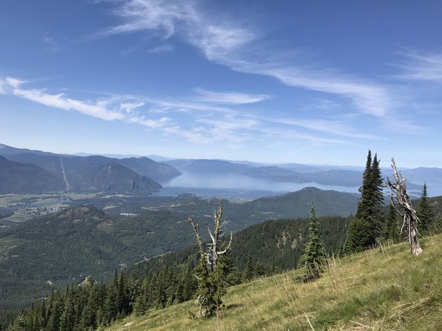 View of Lake Pend Oreille from a mountain meadow