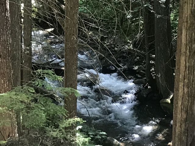 East Fork Bull River