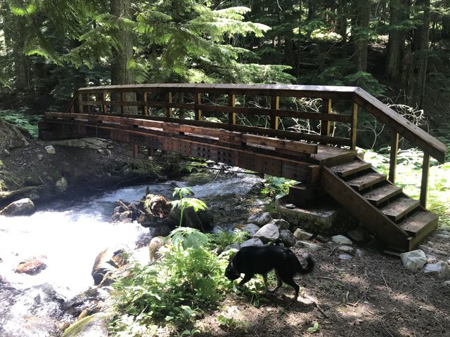 Bridge over Placer Creek. No wet feet on this hike!