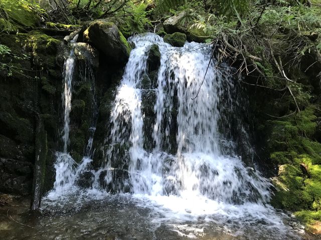 A pretty waterfall a bit off the trail early on in the hike