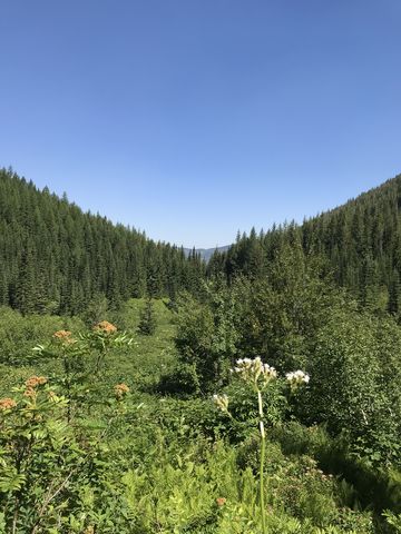 A look back towards Mullan from a broad basin below Lower Stevens Lake