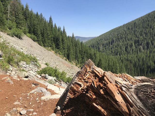 View from the upper end of the talus slope