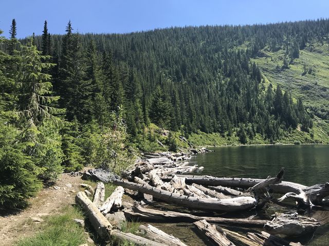 The outlet of Lower Stevens Lake