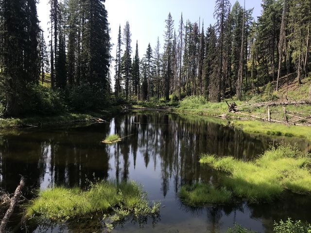 A surprising pond shortly past the 3-mile mark