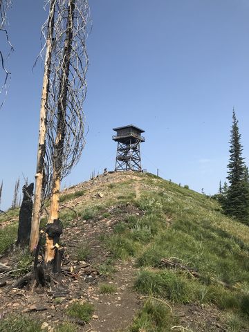 The lookout tower