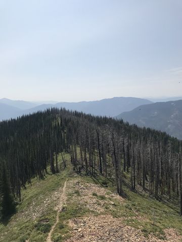 The ridge leading up to the tower