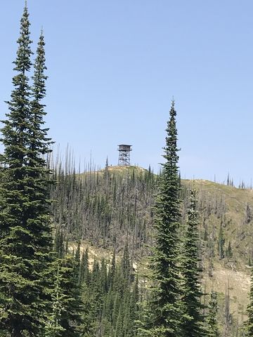 The tower, taken from the junction with trail #1028