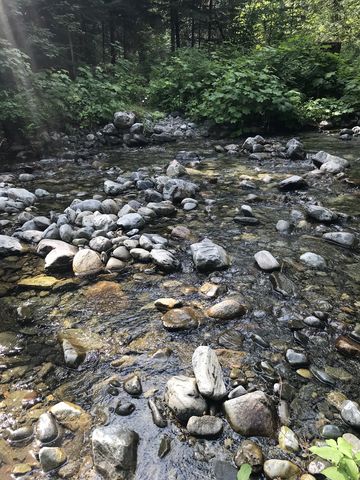 The North Fork Bull River needs to be forded early in the hike. A log greatly assists when the flow is stronger