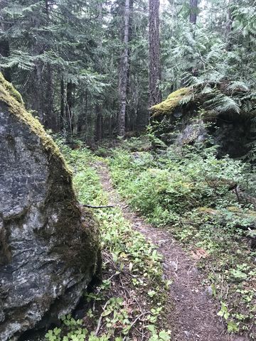 In the upper section of trail 978, the incline gets steeper and winds past large boulders