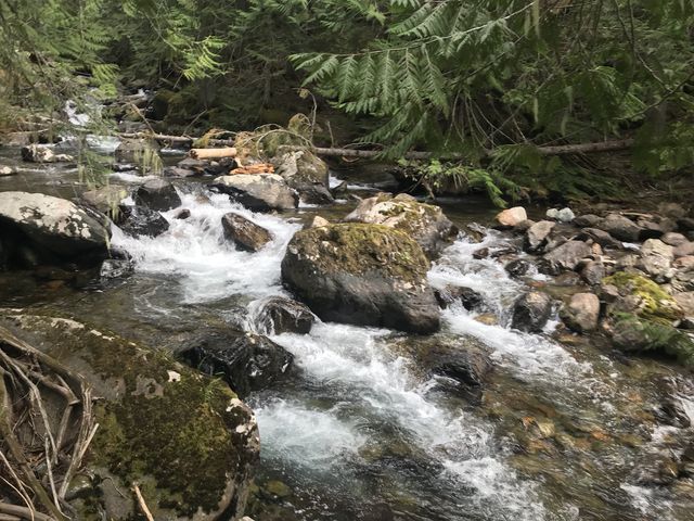 Even though it was late July, the Middle Fork still carried a fair amount of water