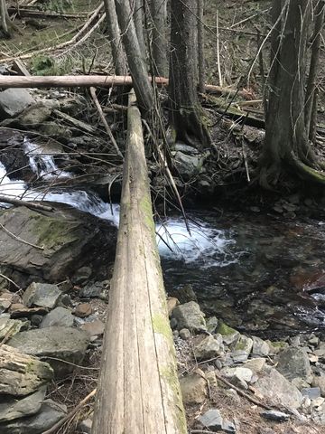 Your choice: this log (and another) or fording