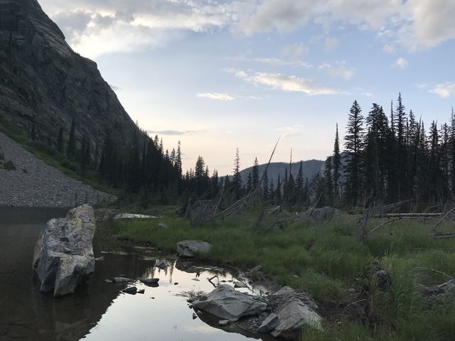 Looking north from the lake