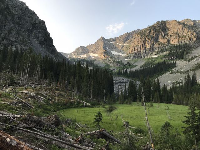 The meadow and Lentz Peak in morning light